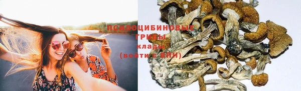 spice Абинск