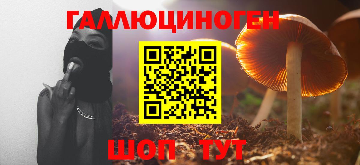 Галлюциногенные грибы мухоморы  Псилоцибиновые грибы мицелий  Барнаул  Вход с VPN 